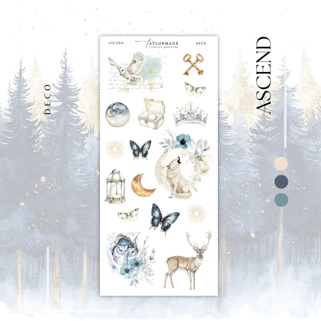 Ascend - Freestyle Kit