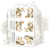 Splendor - Freestyle Kit